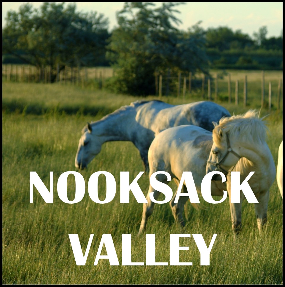 nooksack valley
